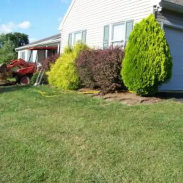 Landscaped shrub bed and lawn beside a house, with a red tractor loader parked at left